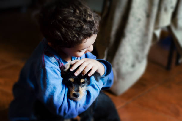 Cute puppies dog