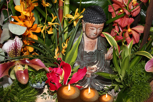 Buddha Surrounded by Orchid Offering   Zen  Temple  Indoor Shot