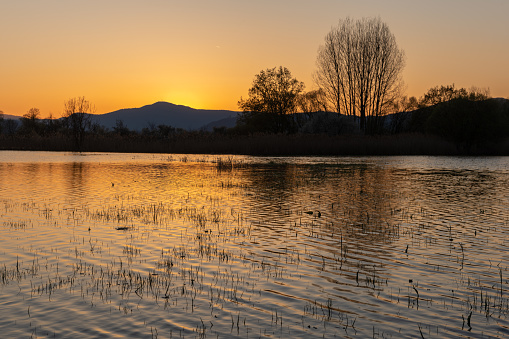 Flooded meadow at sunset with reflections in the water. Alsace, France.