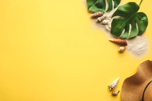 istock Hat, sand, seashells on a yellow summer background, space for text 1481447108
