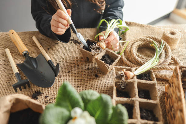 istock Girl doing gardening at home 1481447529