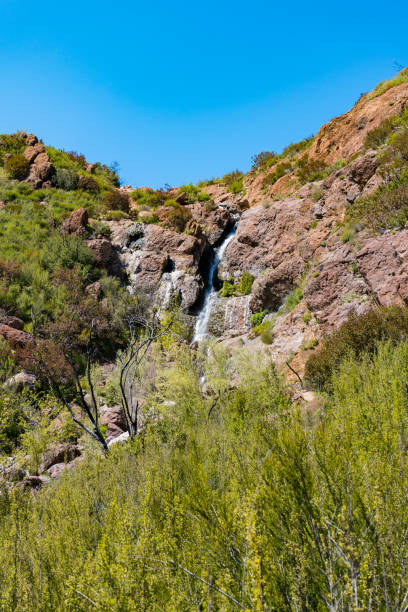istock Hiking Views in Zuma Canyon 1481449056