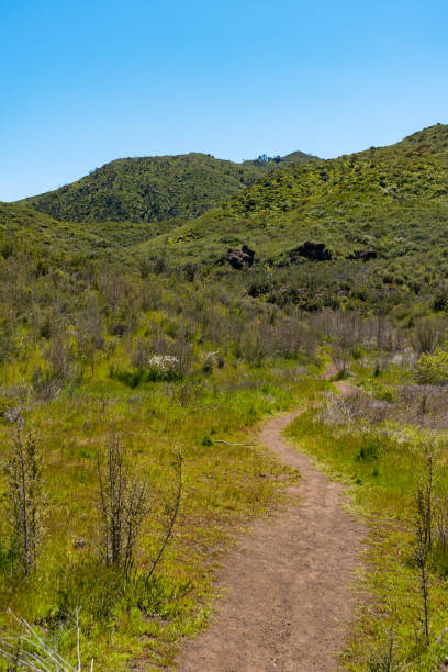 istock Hiking Views in Zuma Canyon 1481449154