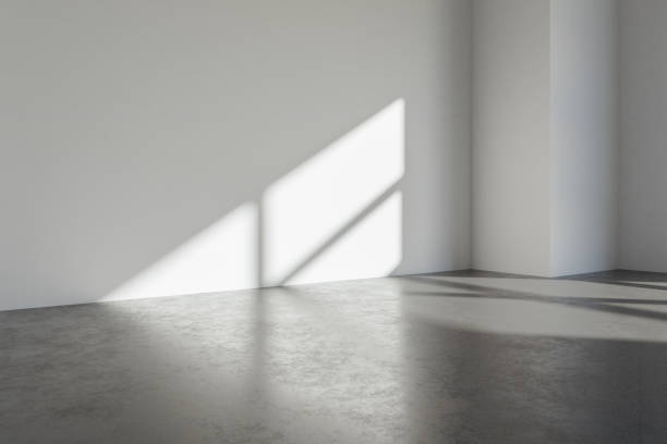 3d render of modern empty room with wooden floor and large white plain wall.