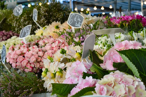 Table of fresh flowers at a market in Paris, France. Soft pinks and creams with green foliage.