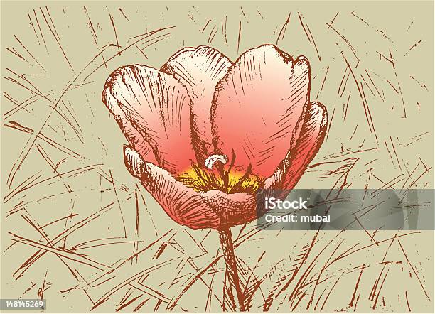 Ilustración de Tulipán En El Césped y más Vectores Libres de Derechos de Arreglo floral - Arreglo floral, Croquis, Dibujo