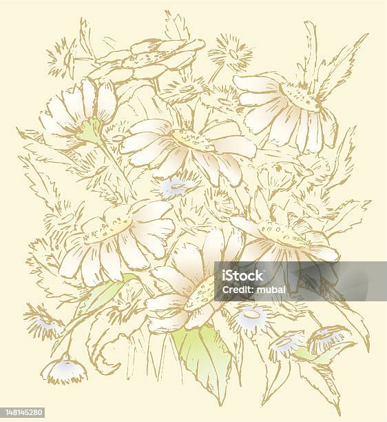 Bouquet Com Camomiles - Arte vetorial de stock e mais imagens de Amor - Amor, Arranjo de flores, Bouquet