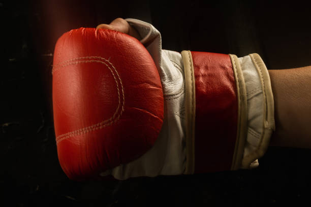 istock The Power of Two: A Romantic Pair of Boxing Gloves 1481455843
