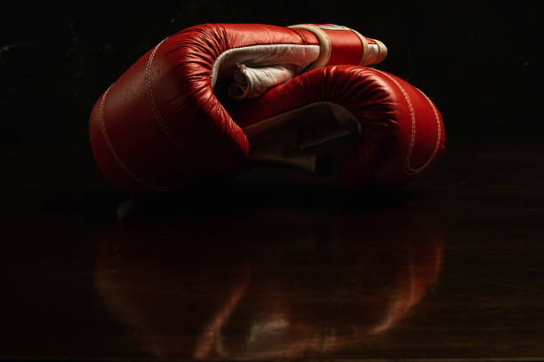 istock The Power of Two: A Romantic Pair of Boxing Gloves 1481455953