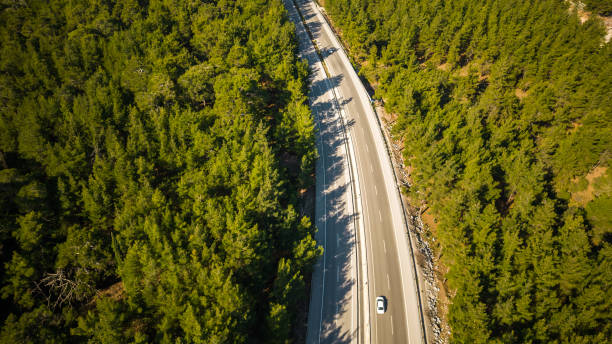 istock Aerial View Of Road 1481457280