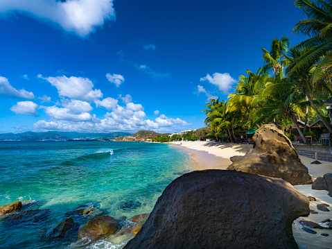 Palm tree lined beach, Magazine Beach, Grenada