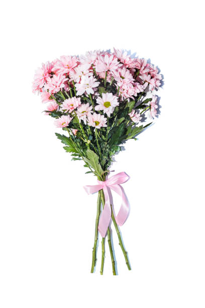 istock Gerbera flowers bouquet on a white background 1481466464