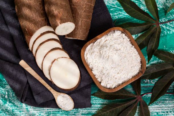 Raw Cassava Root And Starch - Manioc Esculenta; On Wooden Background.