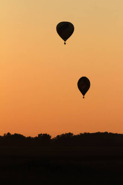 istock Hot Air Balloons Silhouetted at Sunset 1481472855
