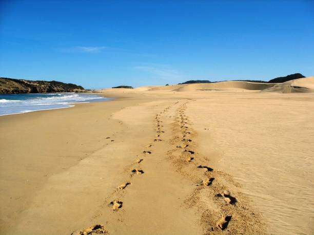 istock Walking together - footsteps on the beach 1481475340