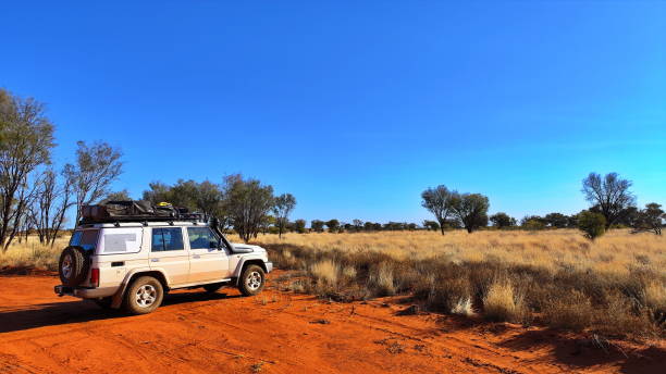istock Australian outback in the red center 1481477573