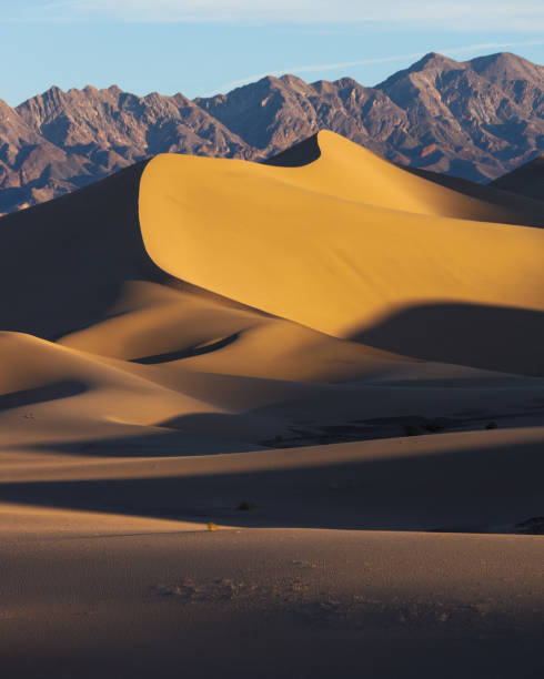 istock Ibex Dunes Death Valley National Park 1481477680