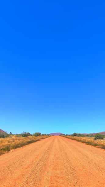 istock Australian Outback road across the desert 1481478245