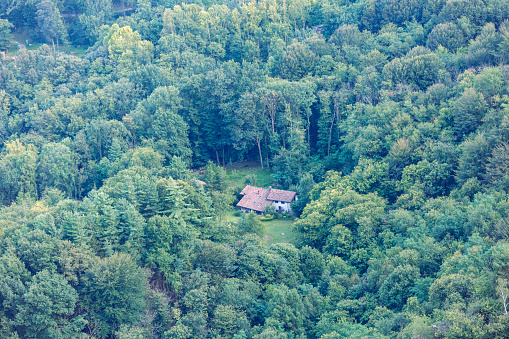 A cabin nestled in the middle of a dense forest, seen from above