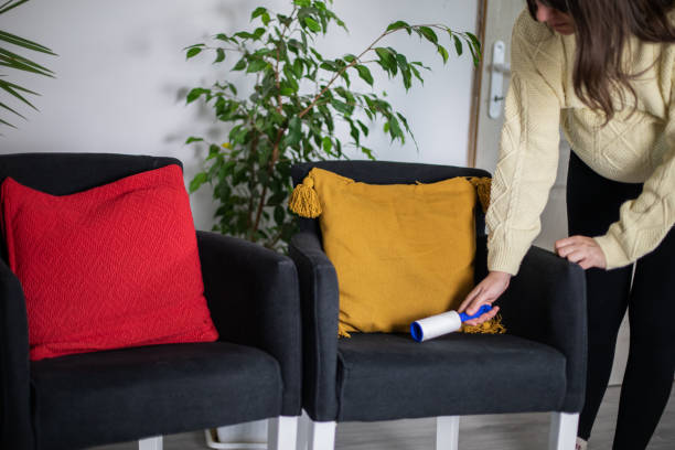 istock Young woman is cleaning her home. 1481489087