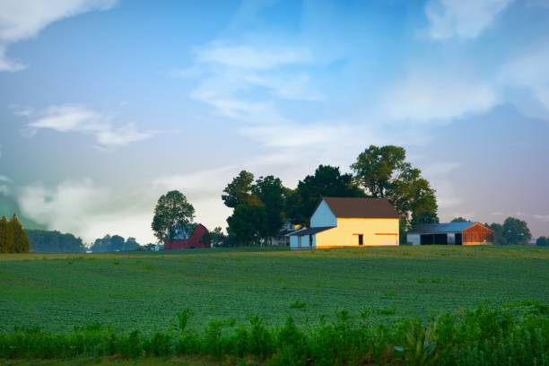 istock Barn-Old barn-With a soybean field, Fulton  County Indiana 1481489692