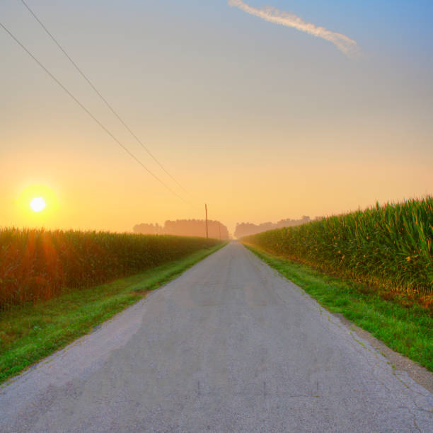 トウモロコシ畑を通る田舎道、早朝-インディアナ州ハワード郡 - morning cereal plant fog corn crop ストックフォトと画像