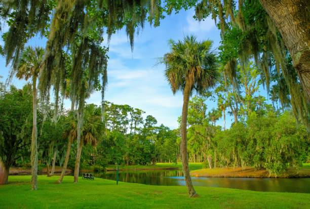 istock Hilton Head Lagoon View- Hilton Head, South Carolina 1481489873