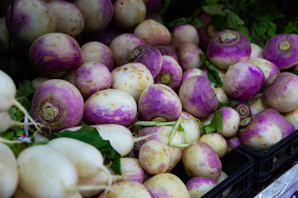 istock Turnips and white radishes for sale 1481492234