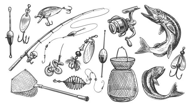 illustrazioni stock, clip art, cartoni animati e icone di tendenza di attrezzatura per set da pesca. canna da pesca, galleggianti e altri dispositivi per la pesca sportiva. illustrazione vettoriale di sketch - catch of fish illustrations