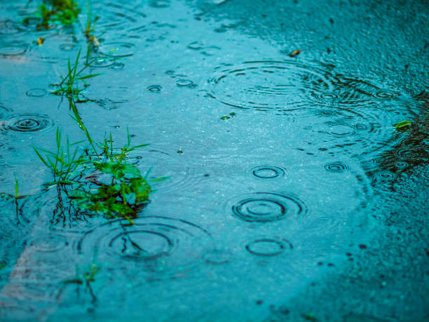 istock photo of rain and ground 1481493842