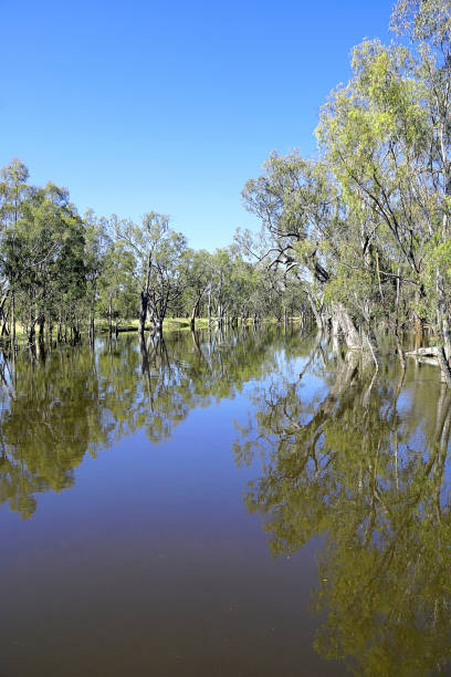 Lower Moira, Victoria, Australia Broken Creek flooding in the Northern Country murray darling basin stock pictures, royalty-free photos & images