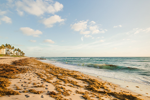 Golden Sunrise Over the Palm Beach, Florida Seashore in the Spring of 2023