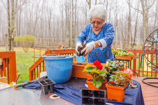 Spring gardening. Senior woman preparing soil for planting flowers.