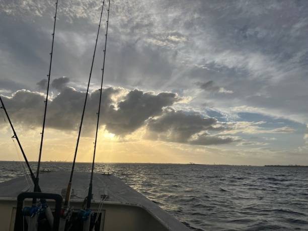 istock Sunrise fishing 1481504028