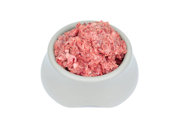 Natural dog food Raw minced meat in grey bowl isolated on white background Top view stock photo