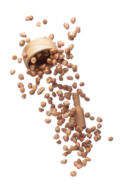istock Peanut flying in wood bowl, brown grain peanuts throw abstract float. Beautiful complete seed pea peanut bowl splash in air, food object design. White background isolated high speed shutter freeze 1481513702