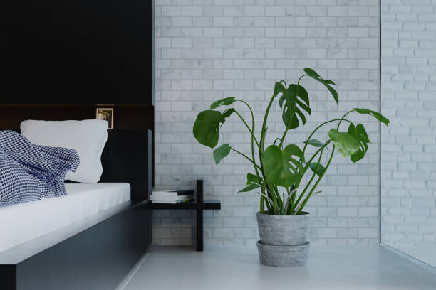 istock Small plants decorated for bedroom. 1481513956