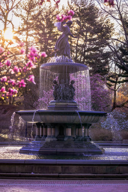 Bethesda Terrace's Fountain in Central Park with spring flowers in the background