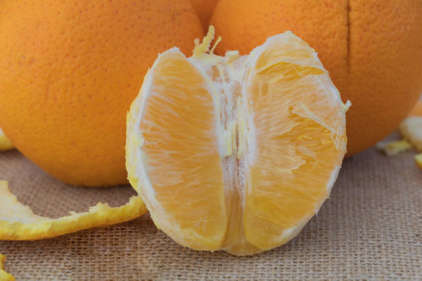 istock Orange fruit on sackcloth background, closeup of fresh orange fruit 1481523041