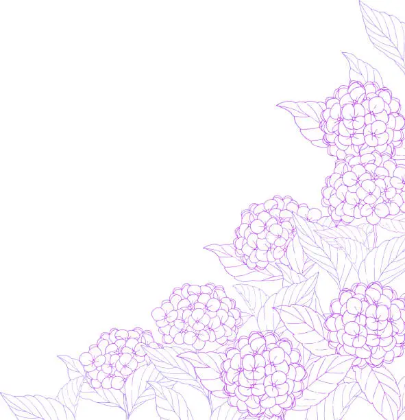 Vector illustration of elegant hydrangea background