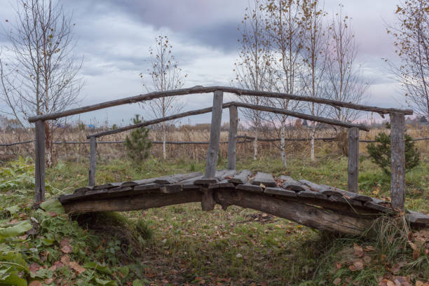 istock Wooden bridge in autumn park 1481543030