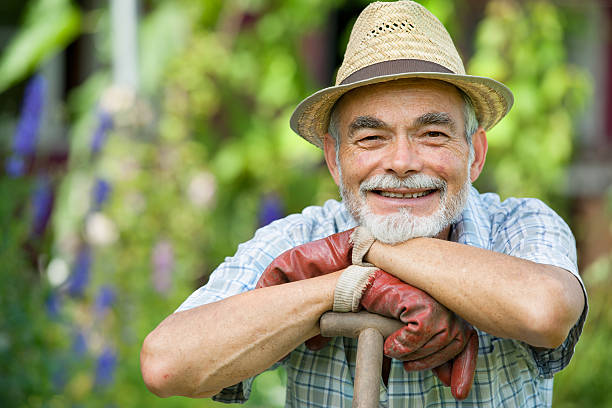 istock Senior gardener with a spade 148154562