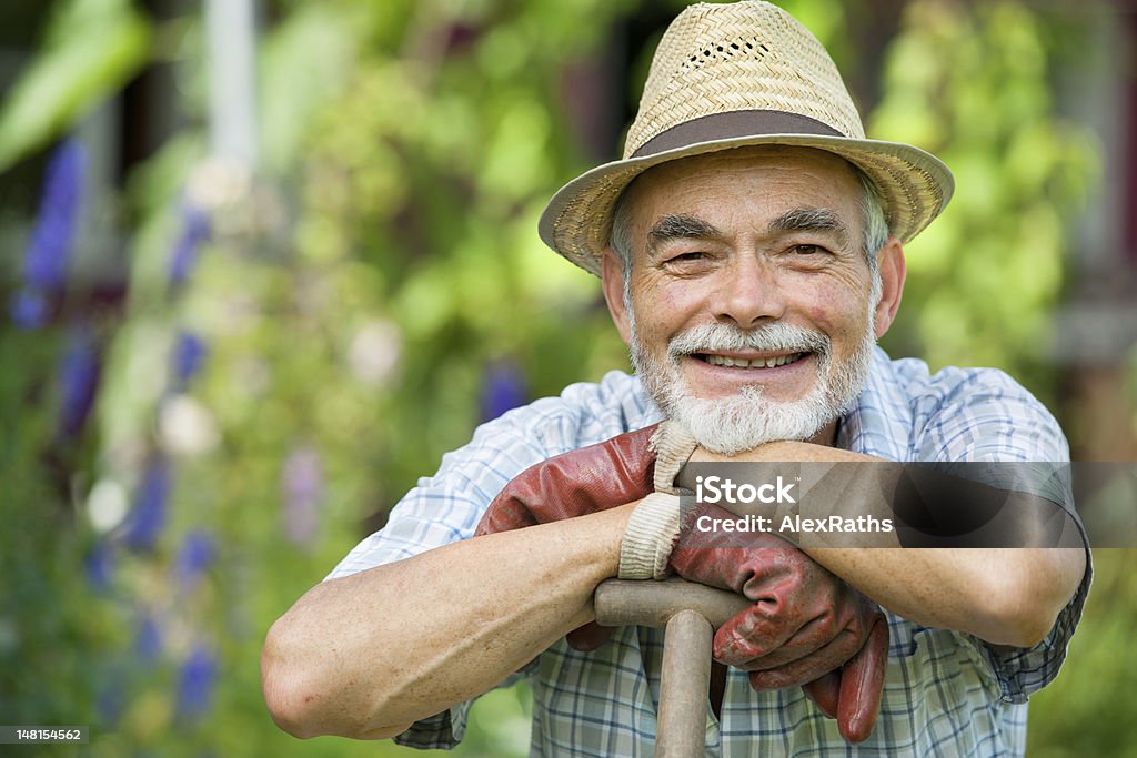 Senior gardener with a spade Senior gardener with a spade in the garden Gardening Stock Photo