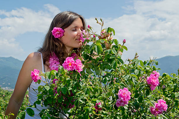Beautiful girl smelling a rose stock photo