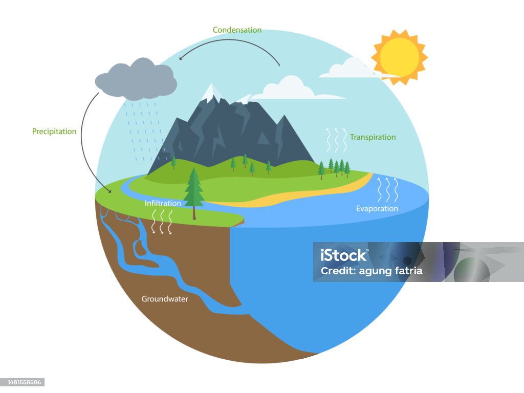 Infografik zum Wasserkreislauf. Hydrologisches Geographie-Schulprogramm - Lizenzfrei Wasser Vektorgrafik