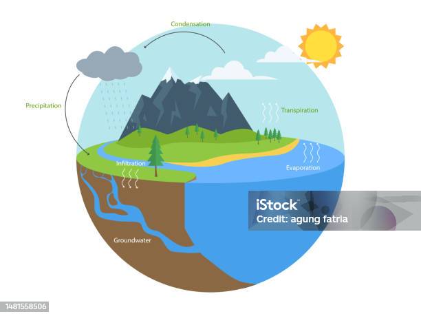 Infografik Zum Wasserkreislauf Hydrologisches Geographieschulprogramm Stock Vektor Art und mehr Bilder von Wasser