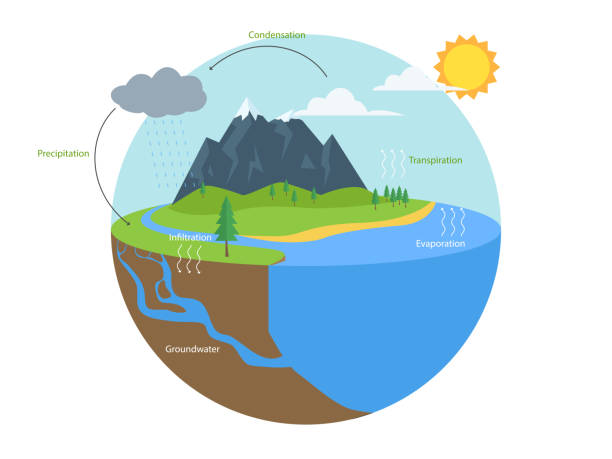 ilustrações de stock, clip art, desenhos animados e ícones de water cycle infographic. hydrologic geography school scheme - groundwater