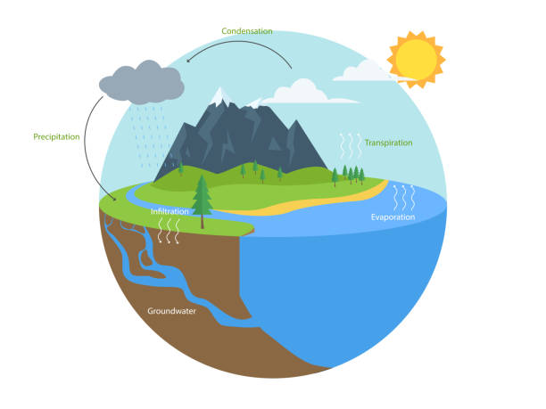 инфографика водного цикла. схема школы гидрологической географии - groundwater stock illustrations