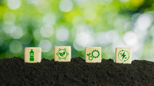 istock world environment plastic world The concept of bioplastic system development Take advantage of Green Tax Expense tax deduction measures. Biodegradable plastic, green background on wooden blocks with icons 1481561872