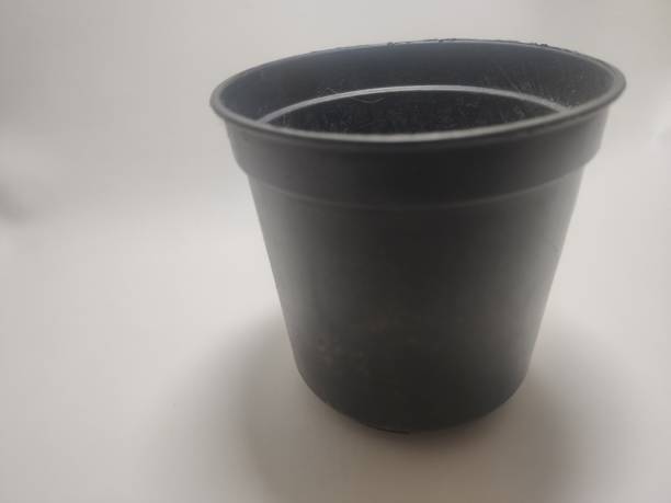 istock small pot, growing flowers, made of plastic 1481567372